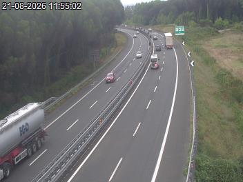 Webcam Pisa Centro – Livorno (km 162)